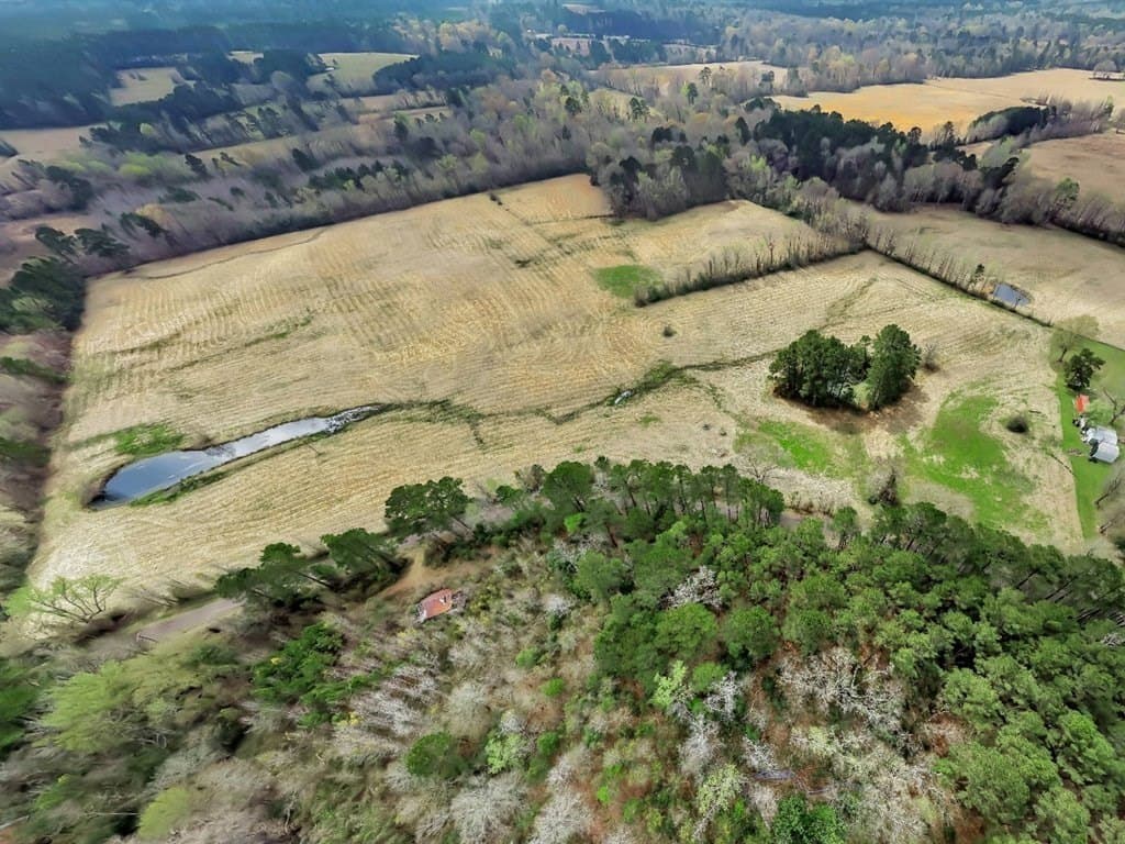 41.3 acres in Texas County - photo 2