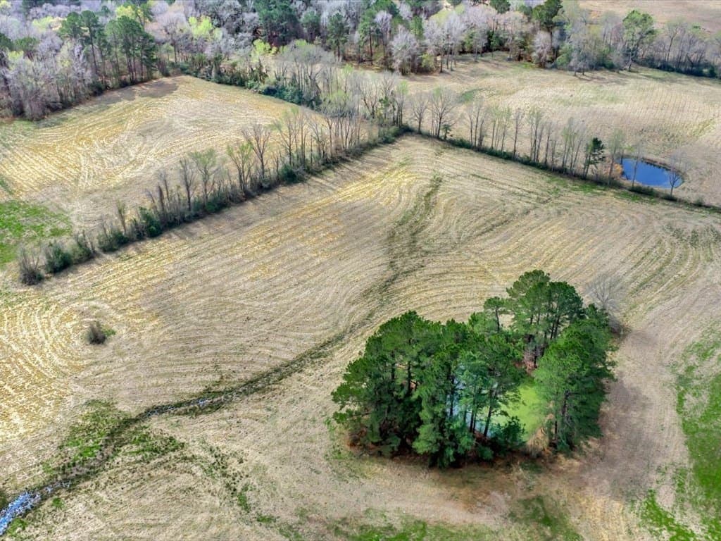 41.3 acres in Texas County - photo 7