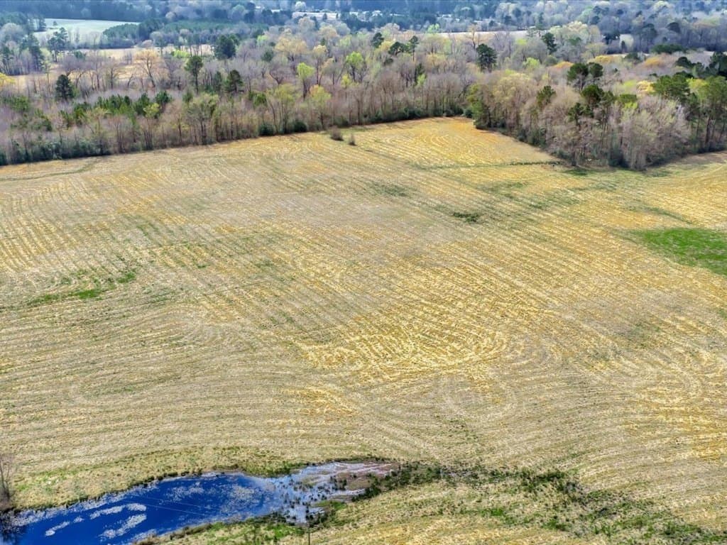 41.3 acres in Texas County - photo 9