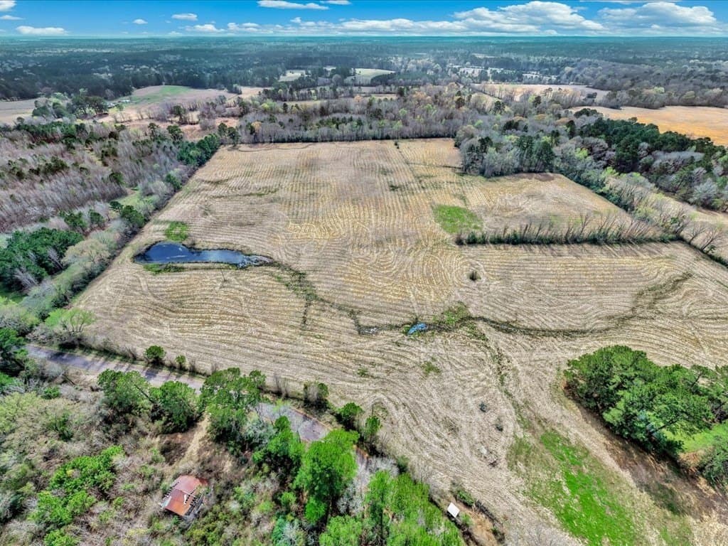 41.3 acres in Texas County - photo 8