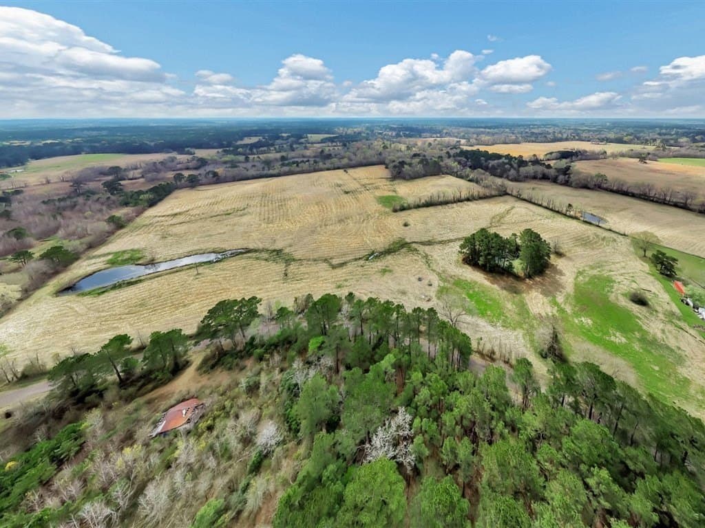 41.3 acres in Texas County - photo 11