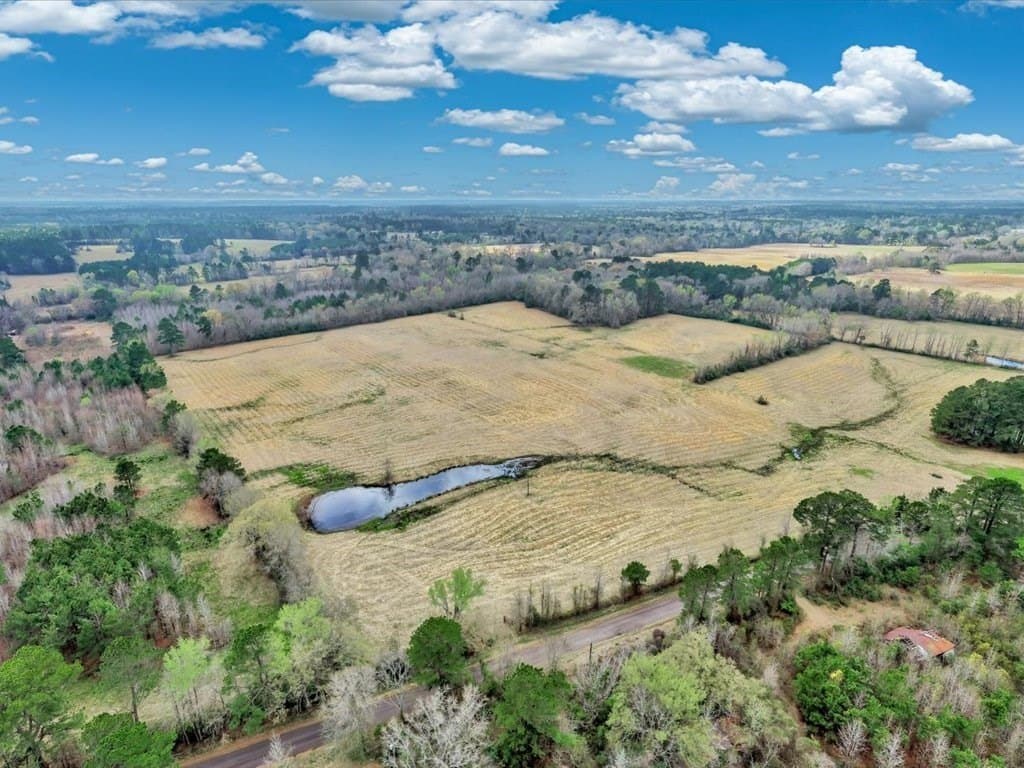 41.3 acres in Texas County - photo 3