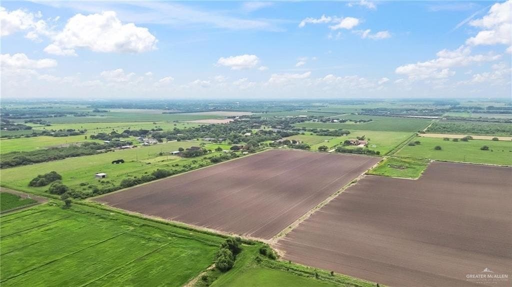 20 acres in Cameron County gallery image 4