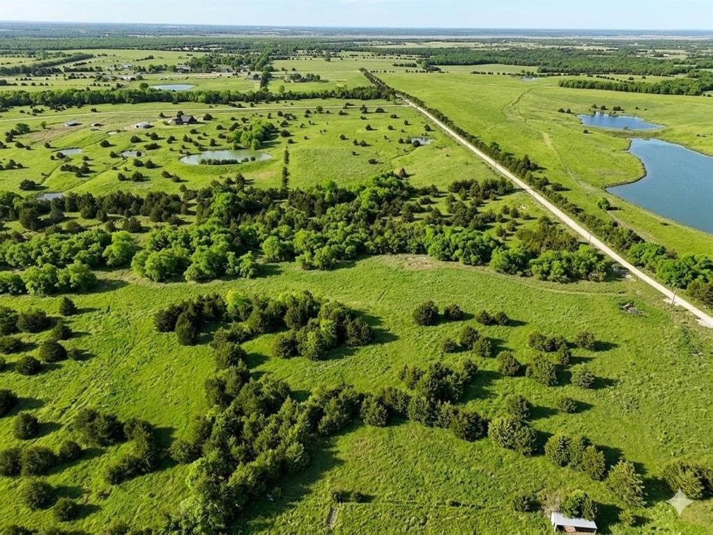 6.01 acres in Fannin County gallery image 4