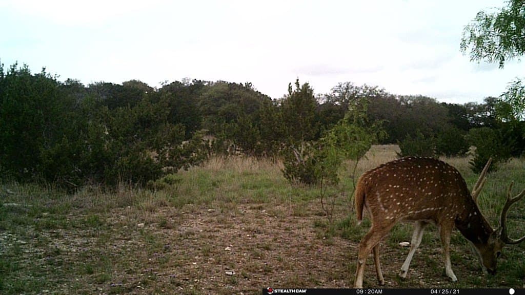 574 acres in Edwards County gallery image 3
