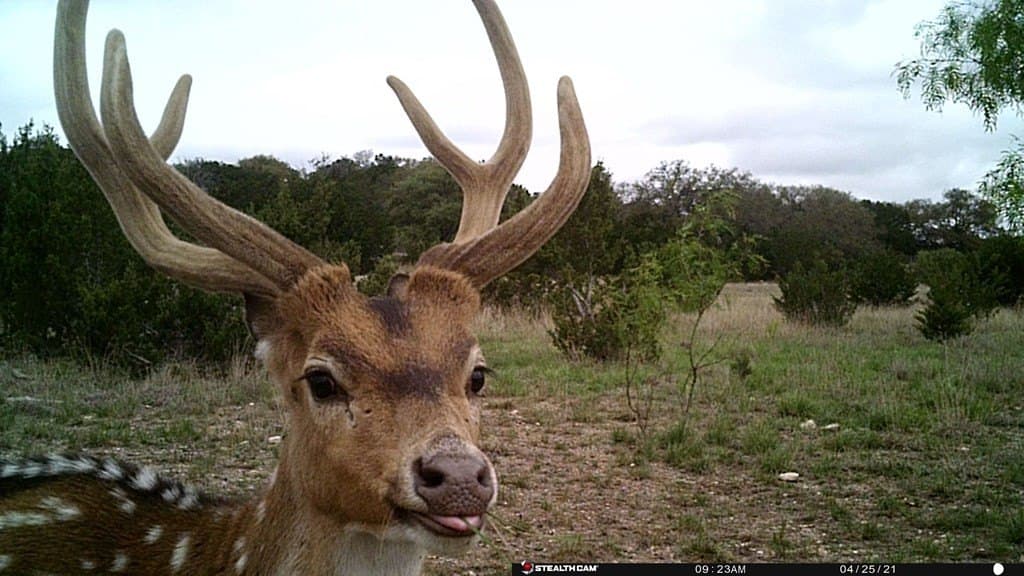 574 acres in Edwards County gallery image 4