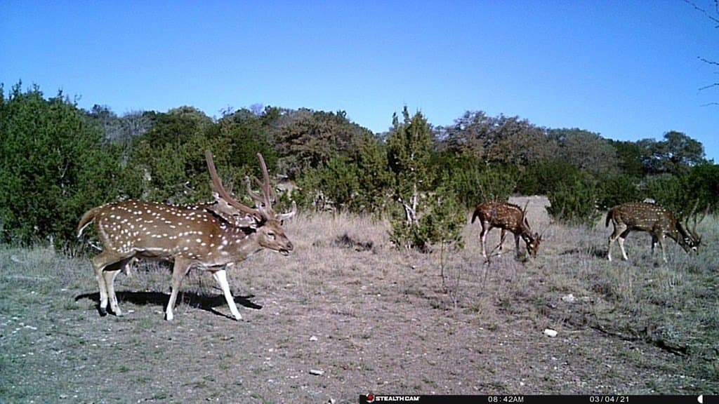 574 acres in Edwards County gallery image 2
