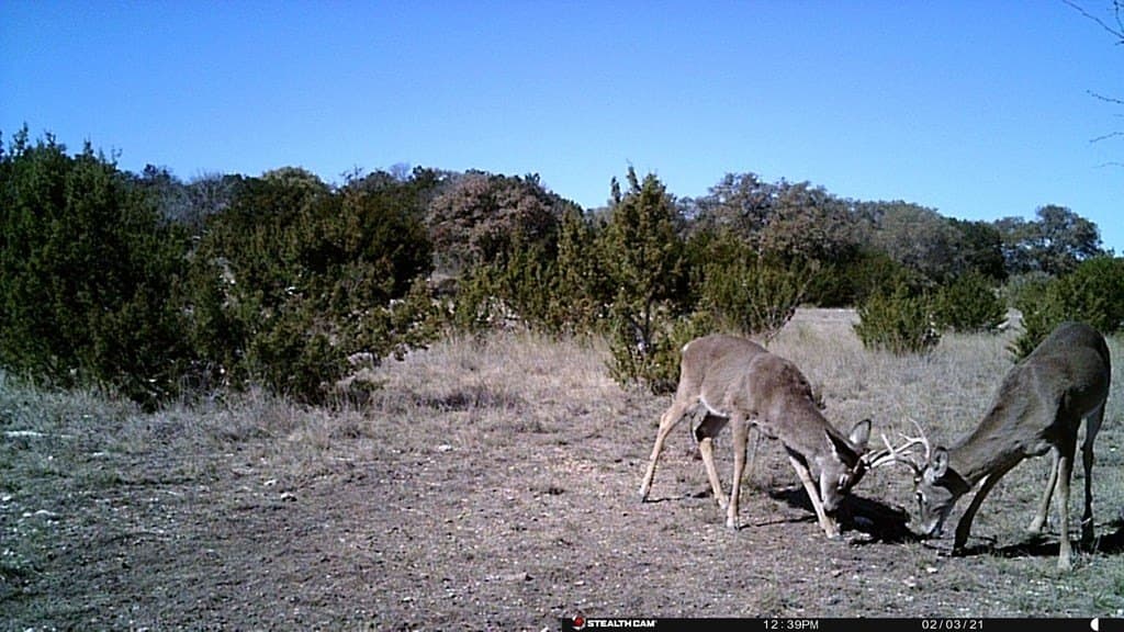 574 acres in Edwards County featured view