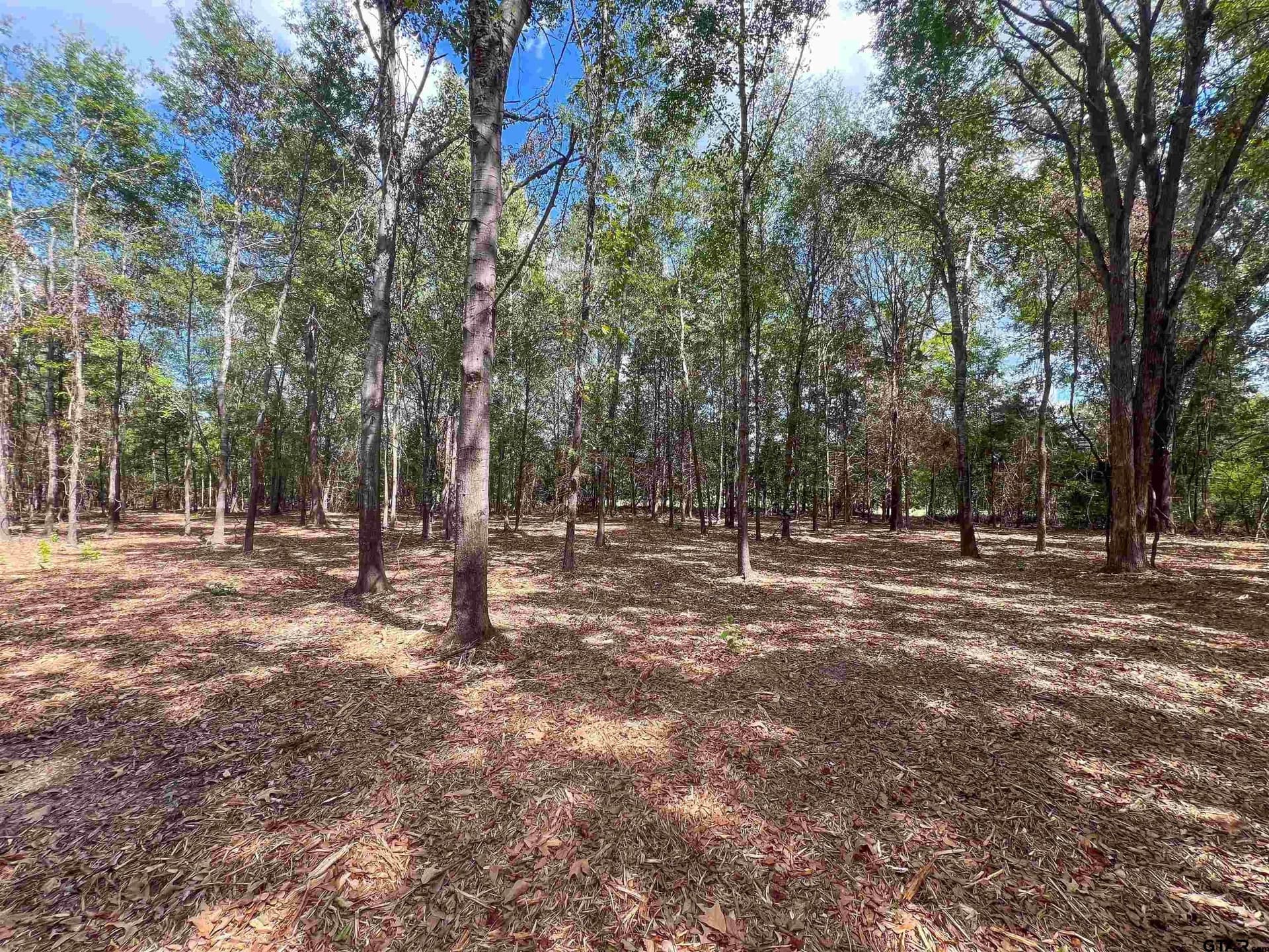 4.28 acres in Smith County - photo 5