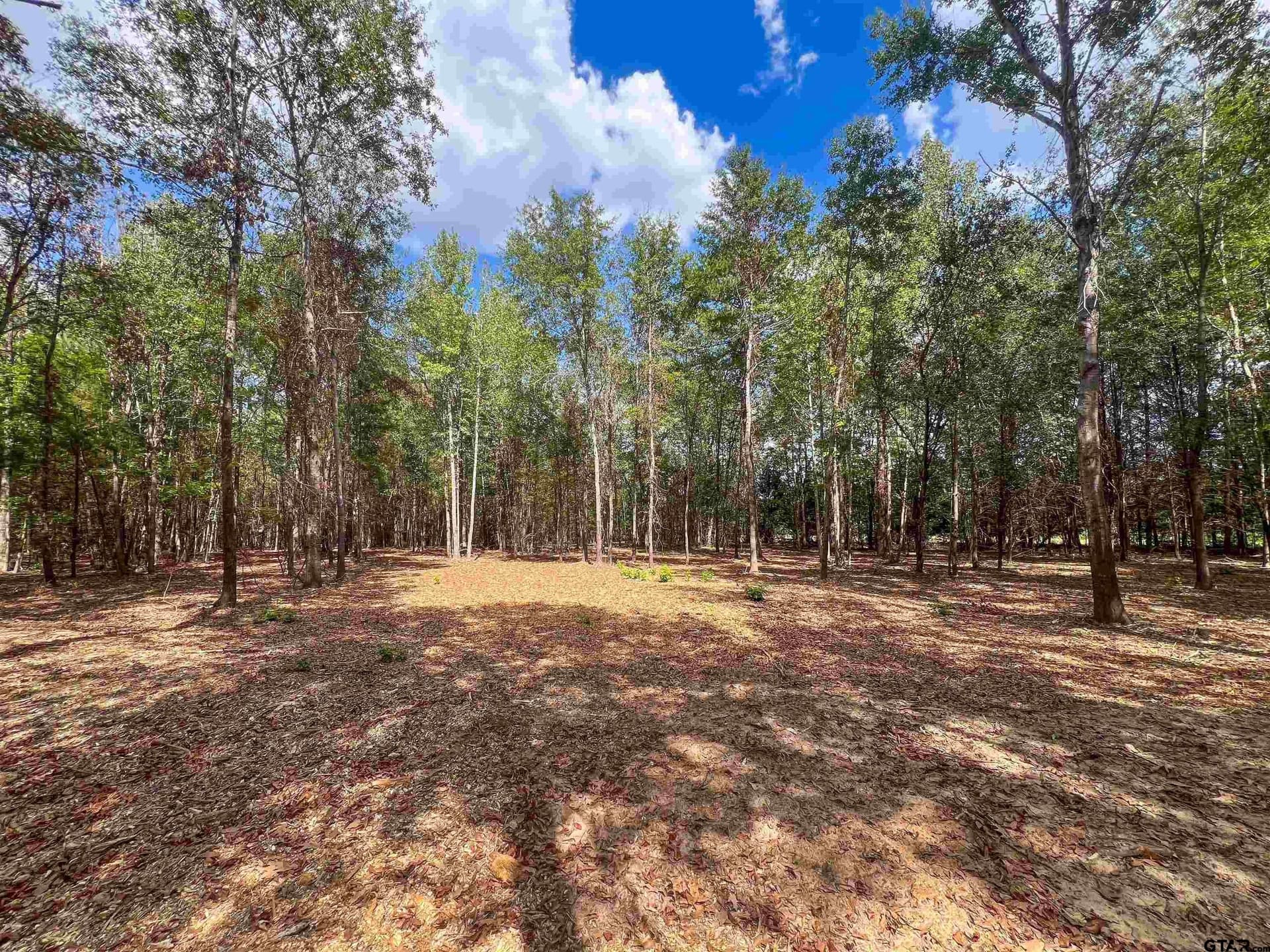 4.28 acres in Smith County - photo 6