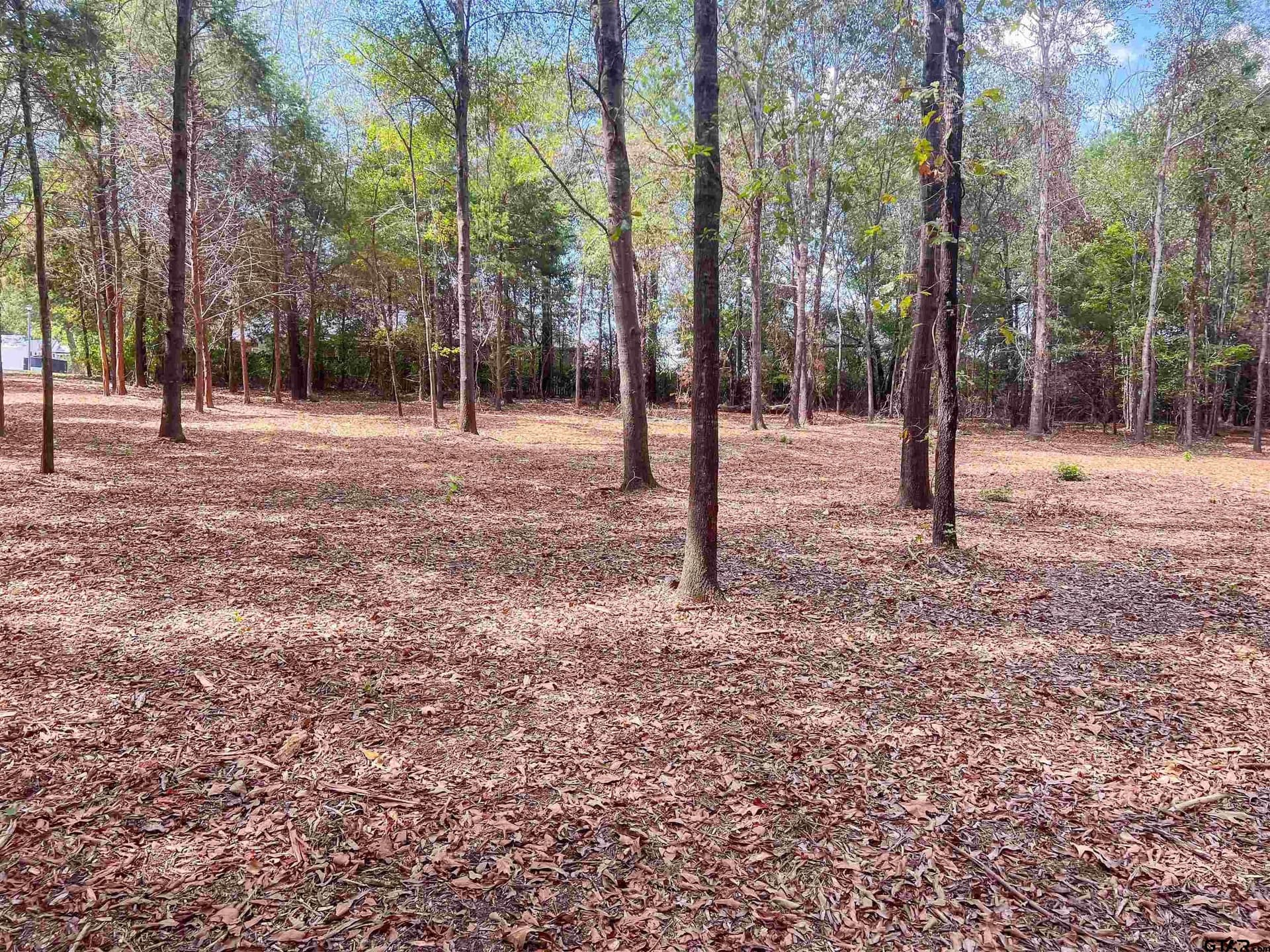 4.28 acres in Smith County - photo 8