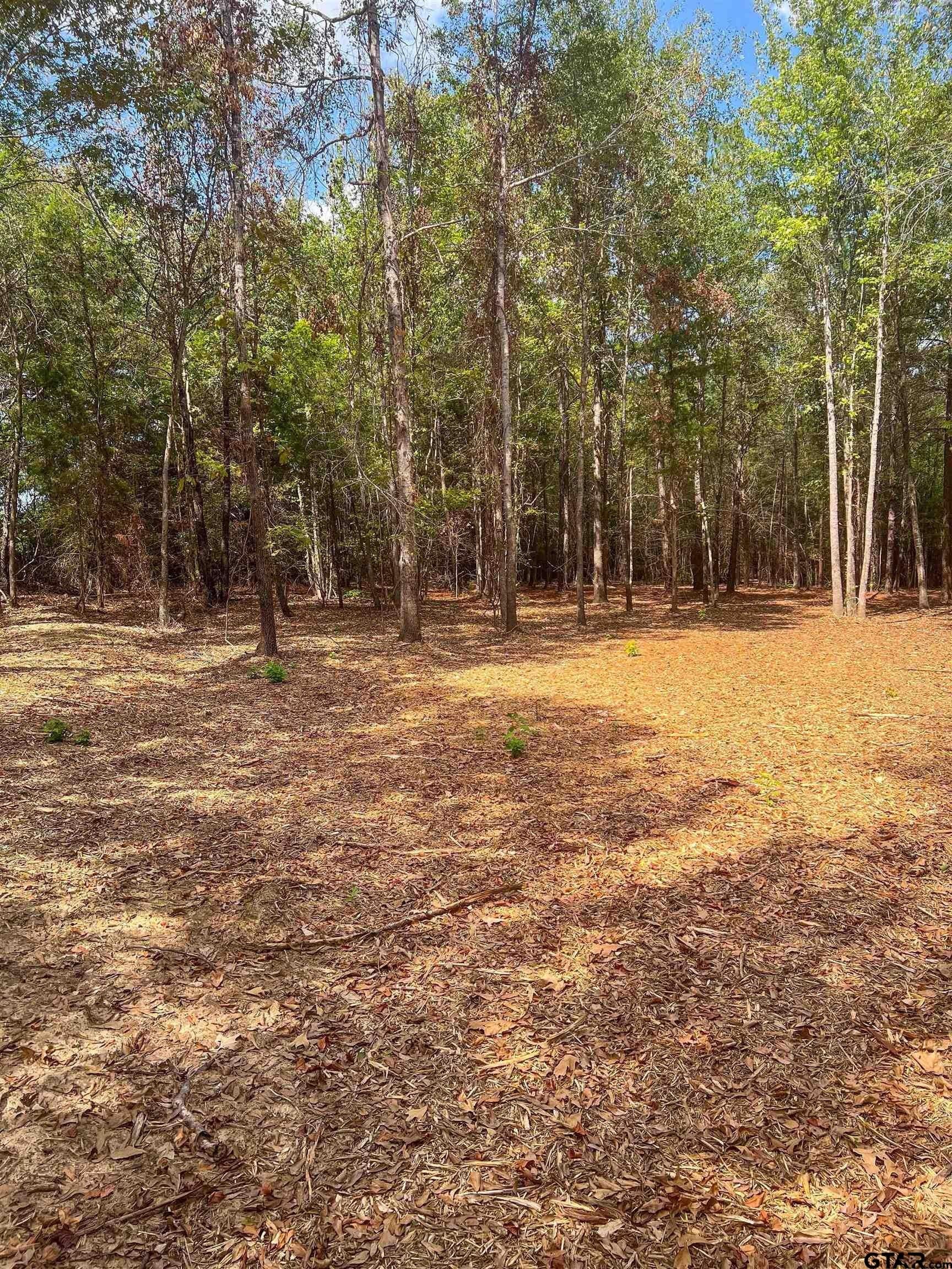 4.28 acres in Smith County - photo 7