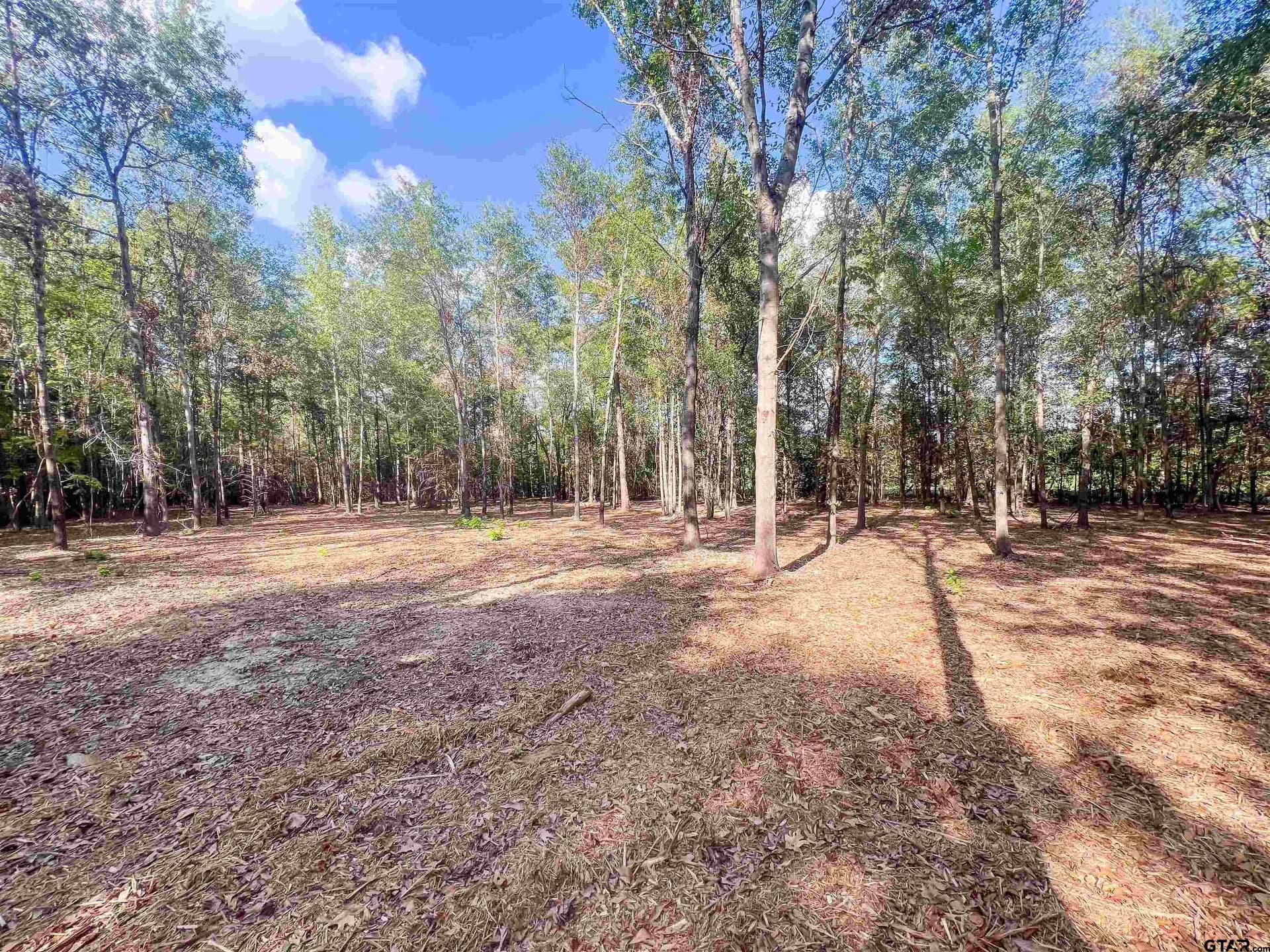 4.28 acres in Smith County - photo 9