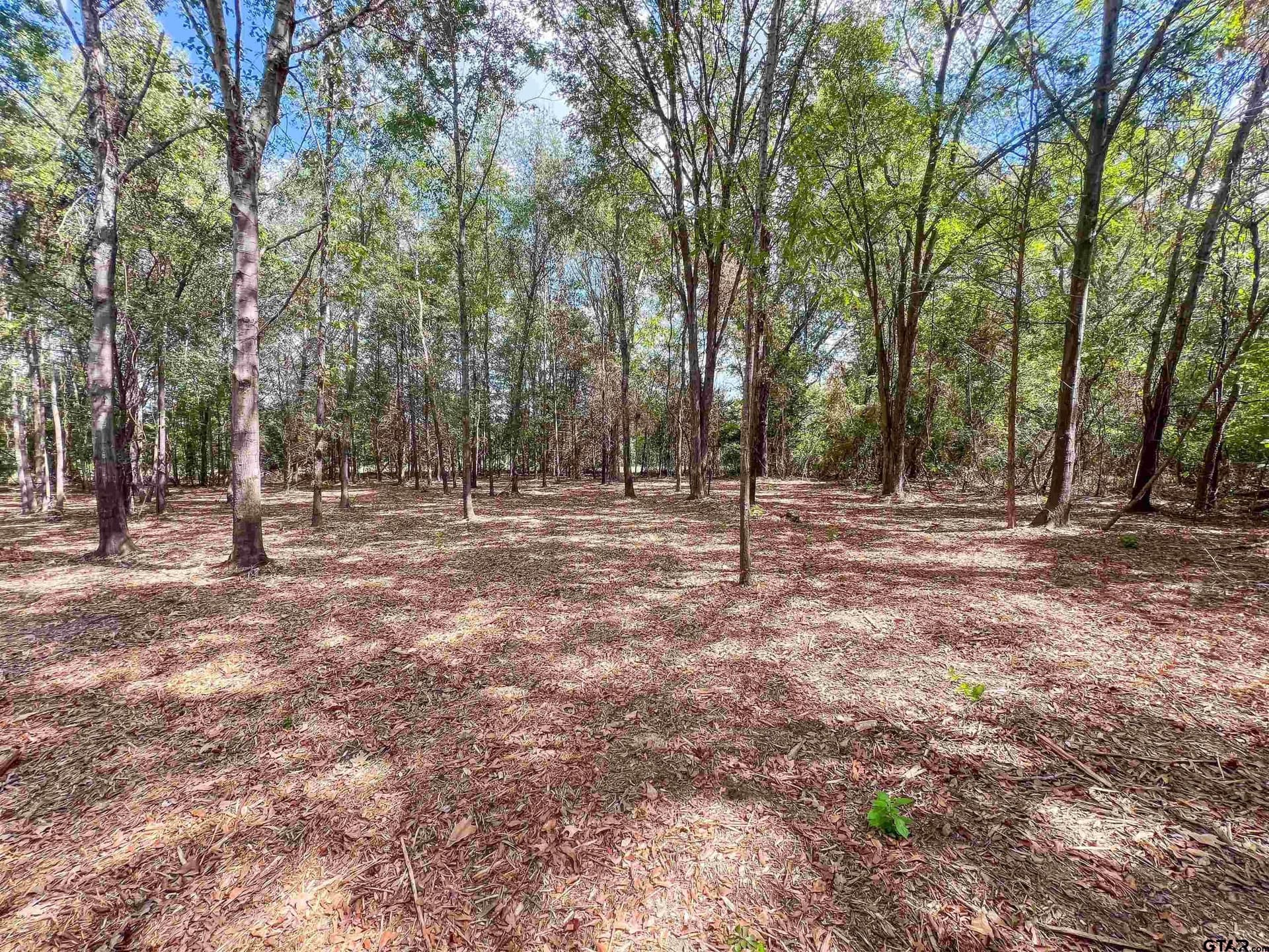 4.28 acres in Smith County - photo 4