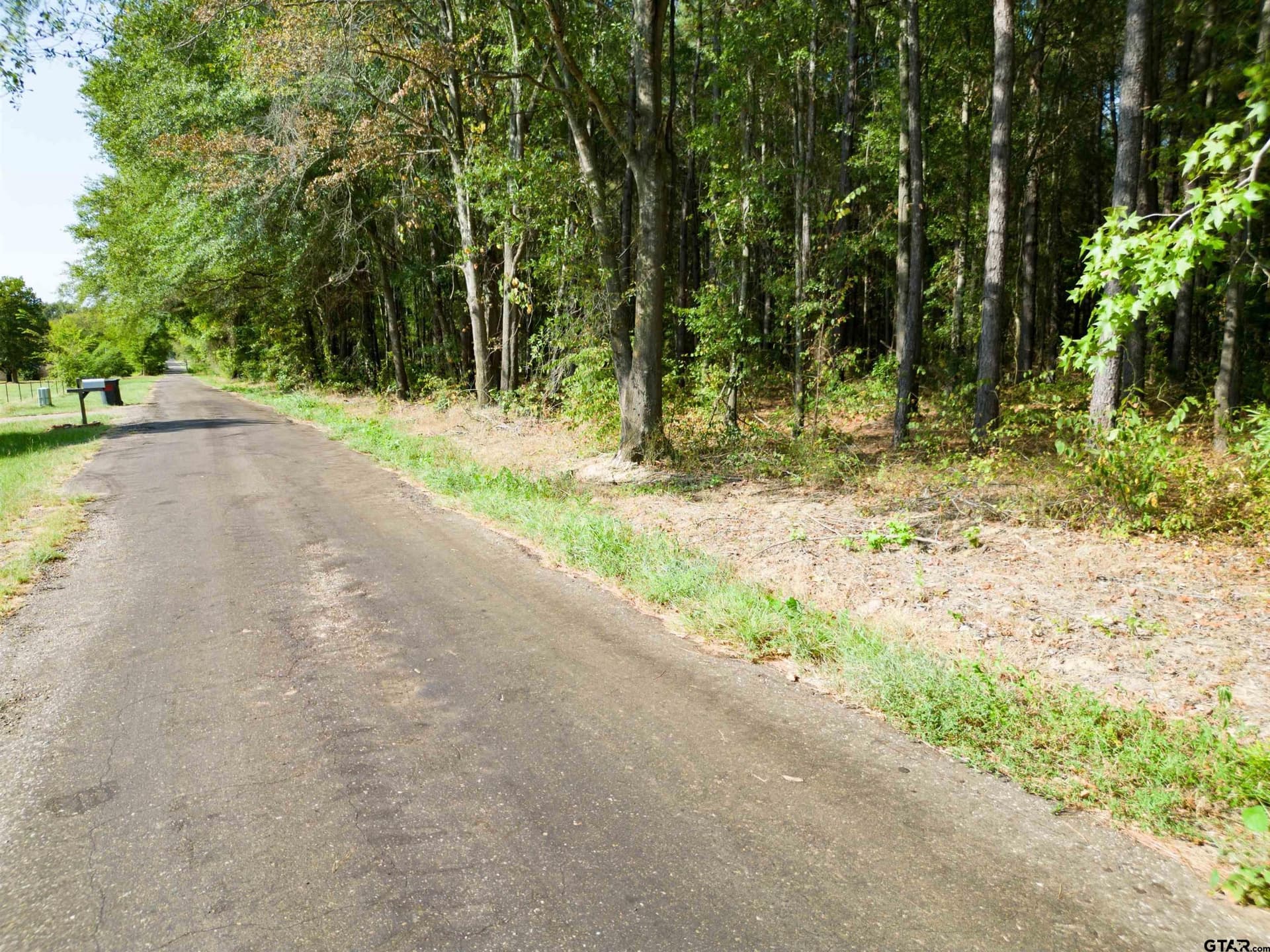 2 acres in Camp County - photo 2
