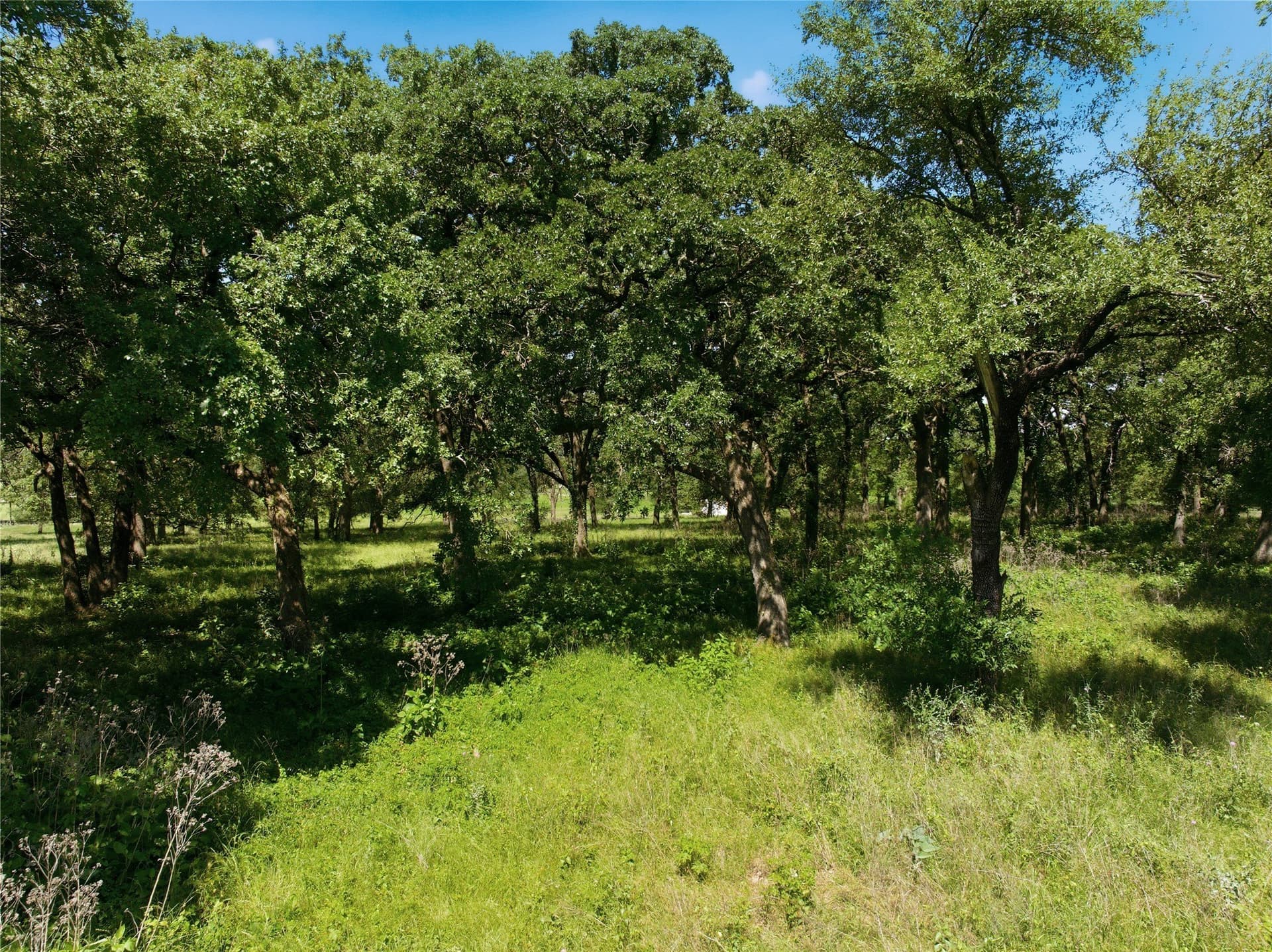 5.07 acres in Hill County featured view