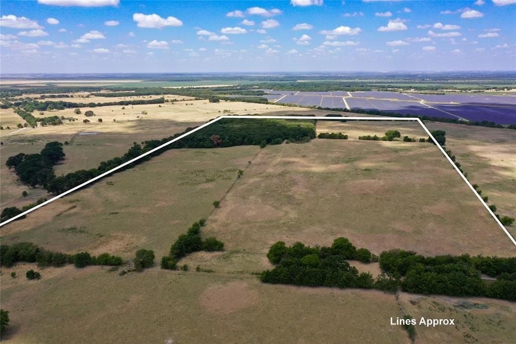 246.3 acres in Kaufman County gallery image 4