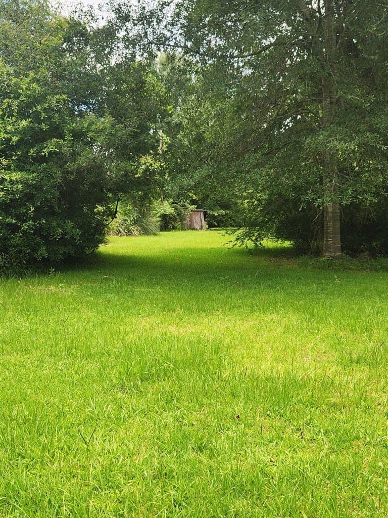 11.39 acres in Texas County featured view