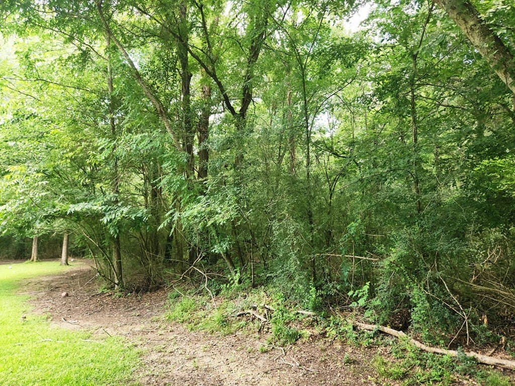 11.39 acres in Texas County - photo 12