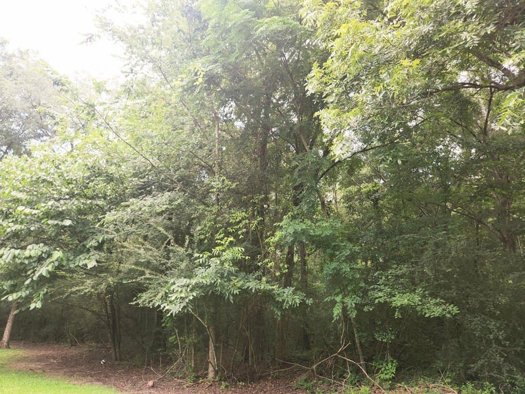 11.39 acres in Texas County - photo 13
