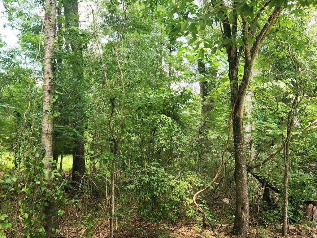 11.39 acres in Texas County - photo 16