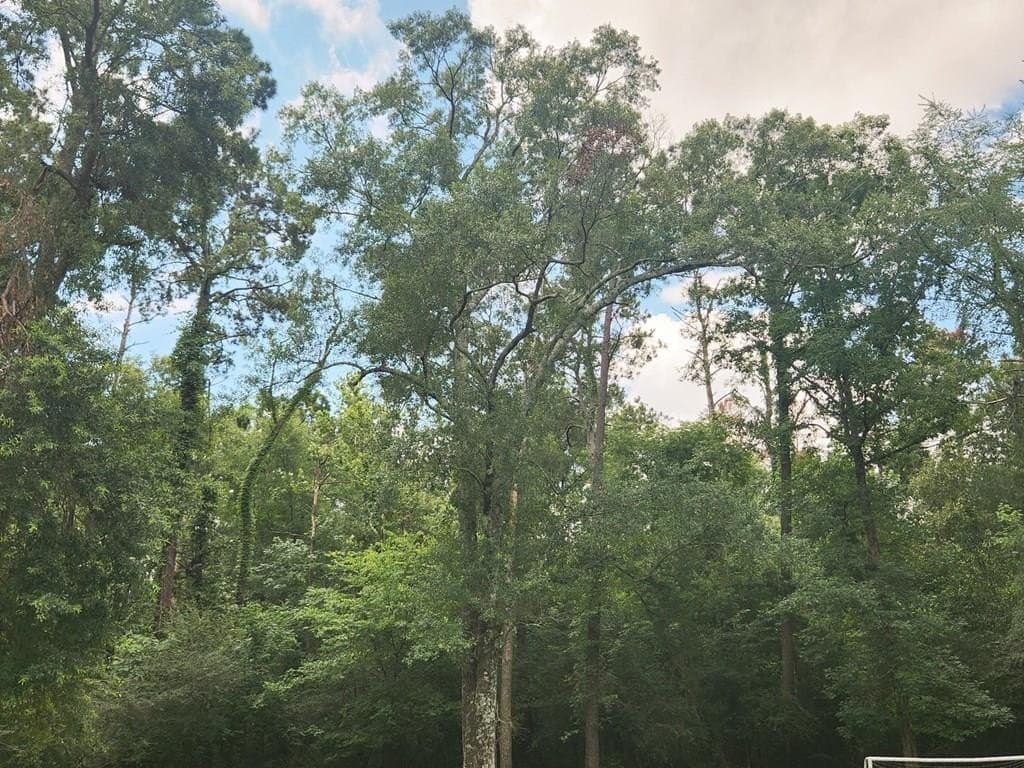 11.39 acres in Texas County