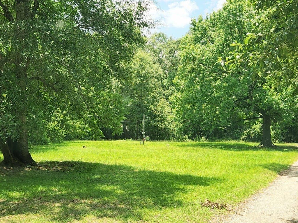 11.39 acres in Texas County - photo 7