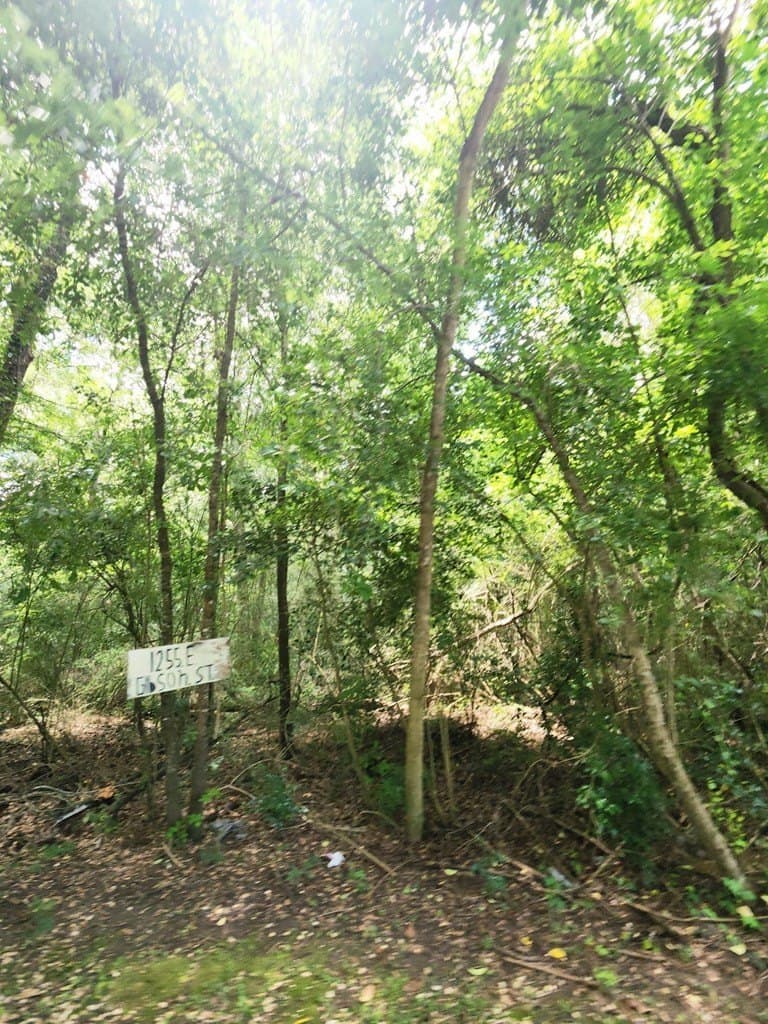 11.39 acres in Texas County - photo 10