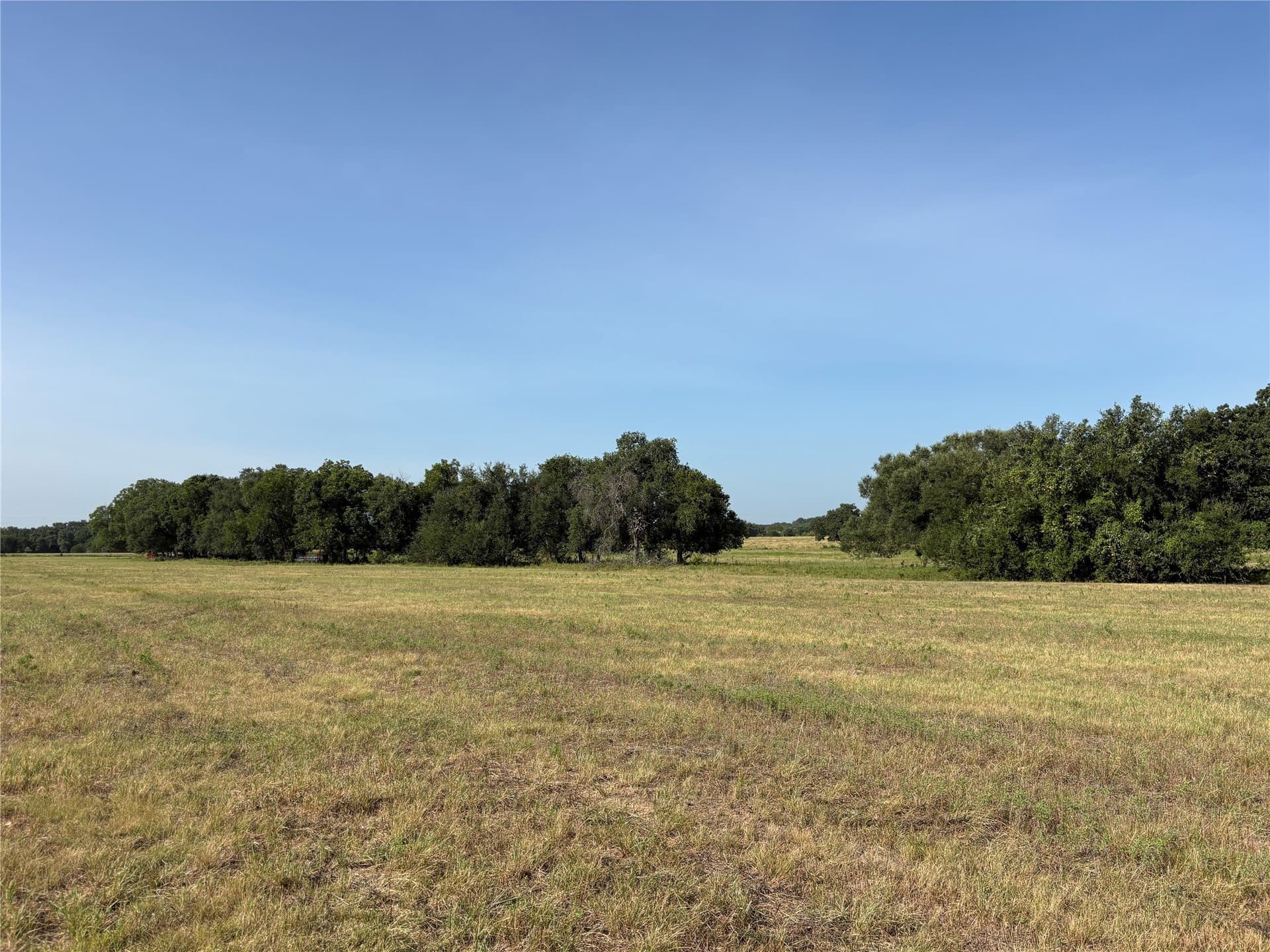 20 acres in Bosque County gallery image 4