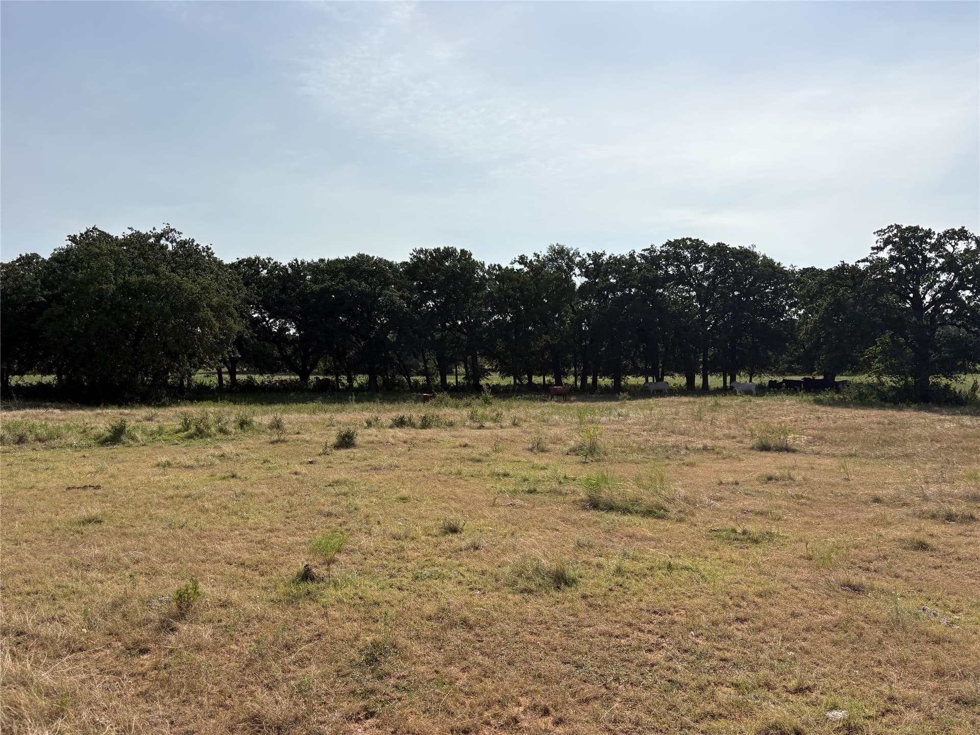 20 acres in Bosque County - photo 12