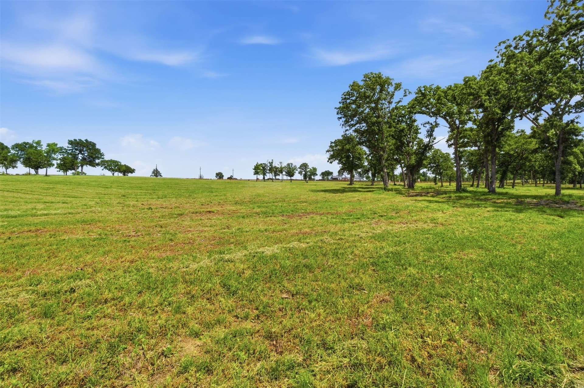 1.34 acres in Fannin County - photo 7