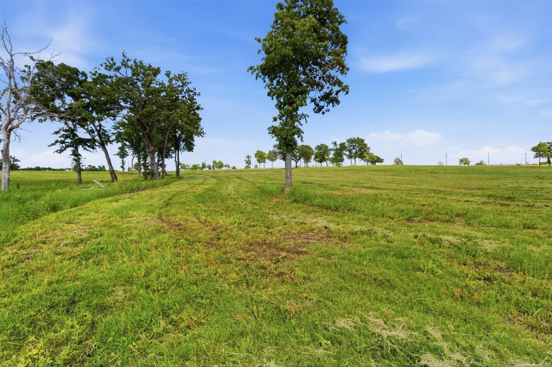 1.34 acres in Fannin County - photo 8