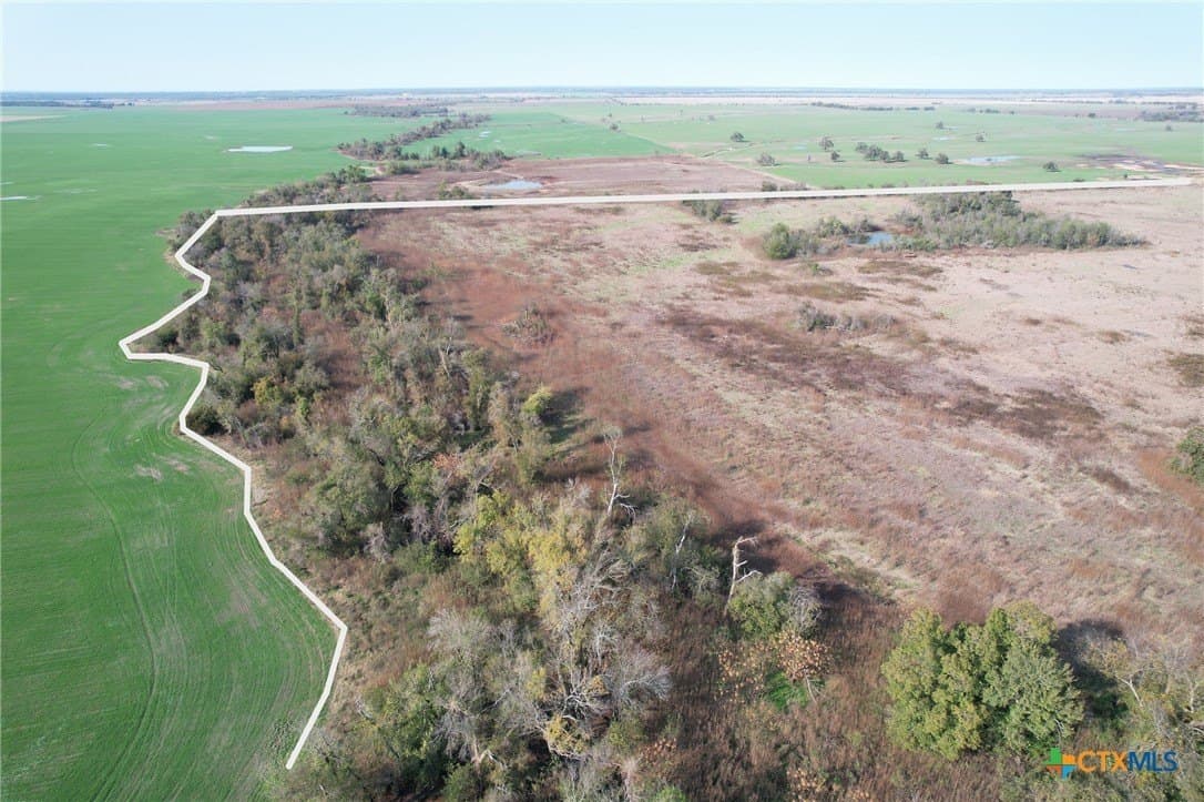 123.5 acres in Falls County - photo 5