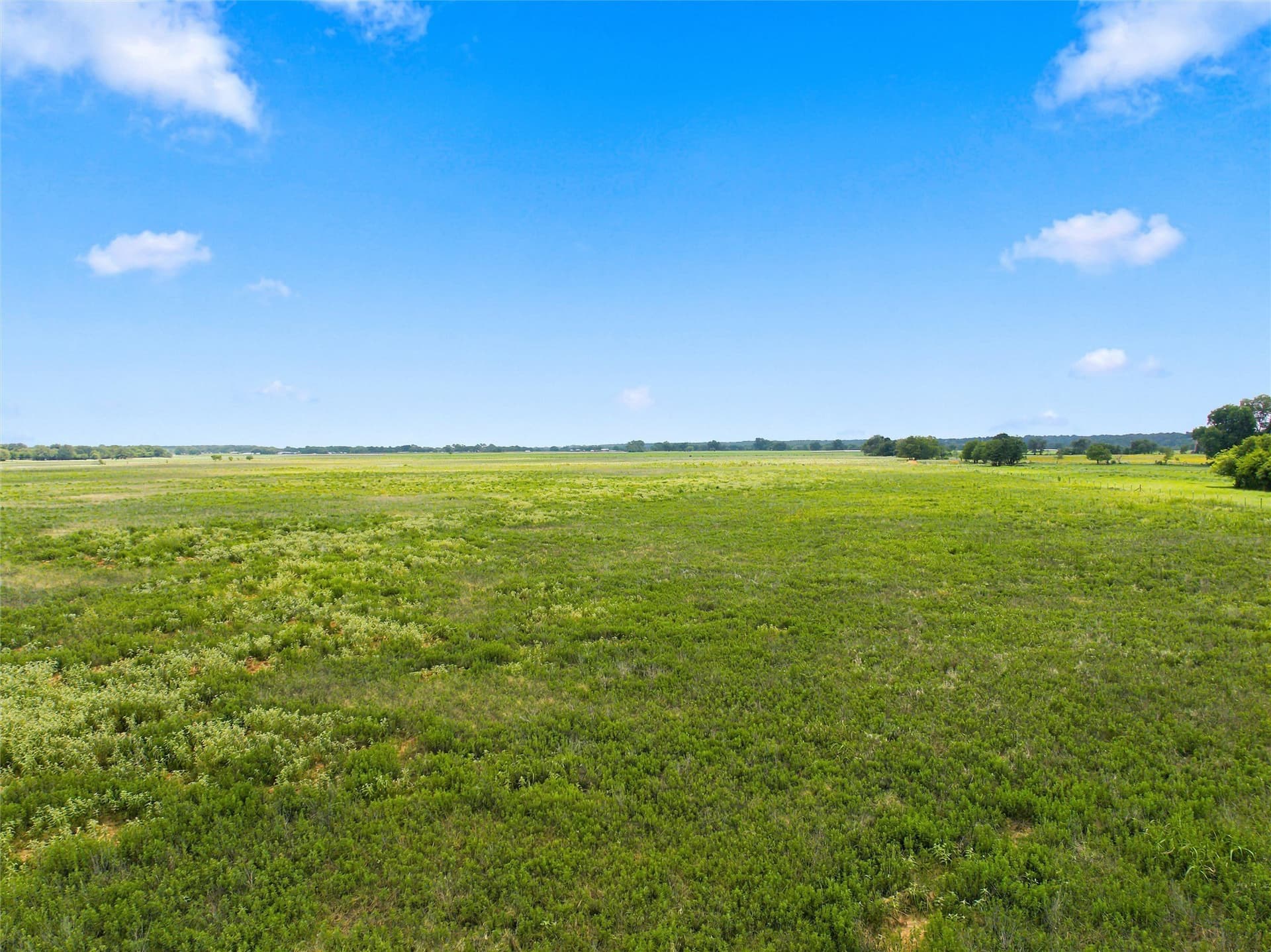 11.1 acres in McLennan County - photo 5