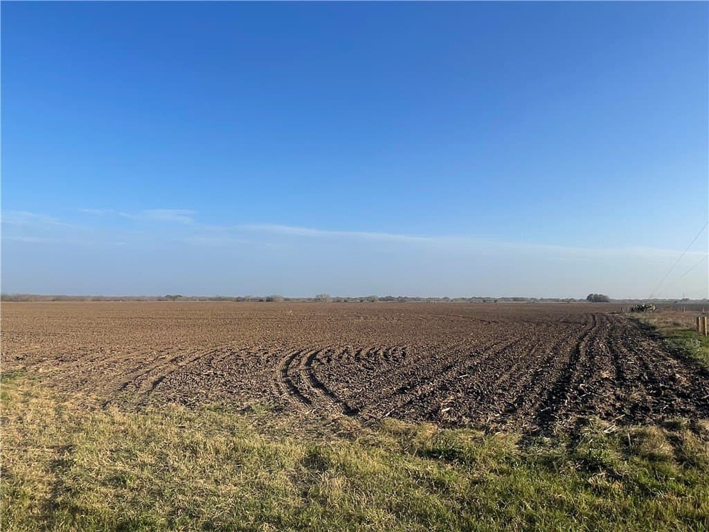 11 acres in San Patricio County gallery image 2