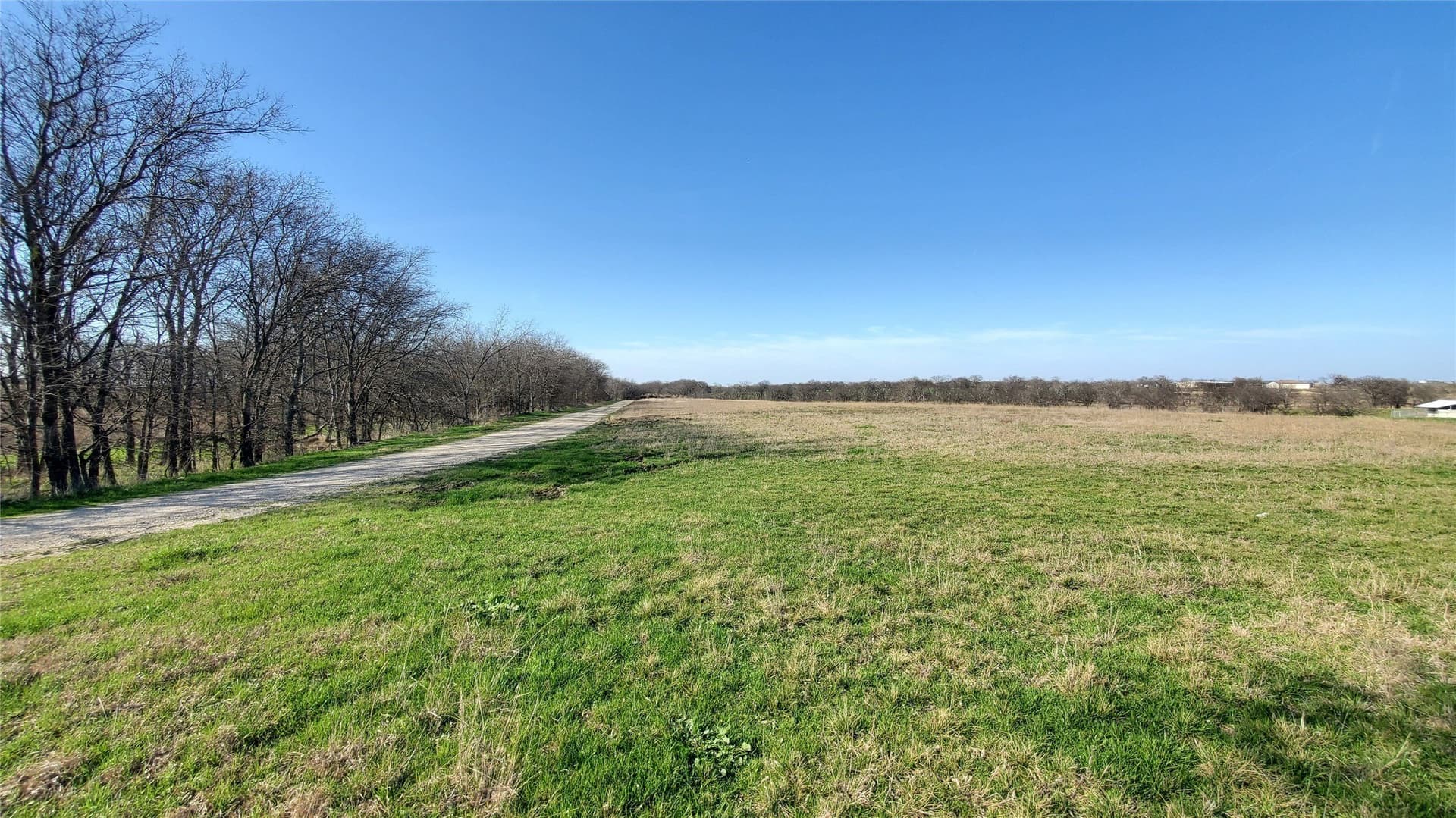 13.97 acres in Navarro County - photo 23