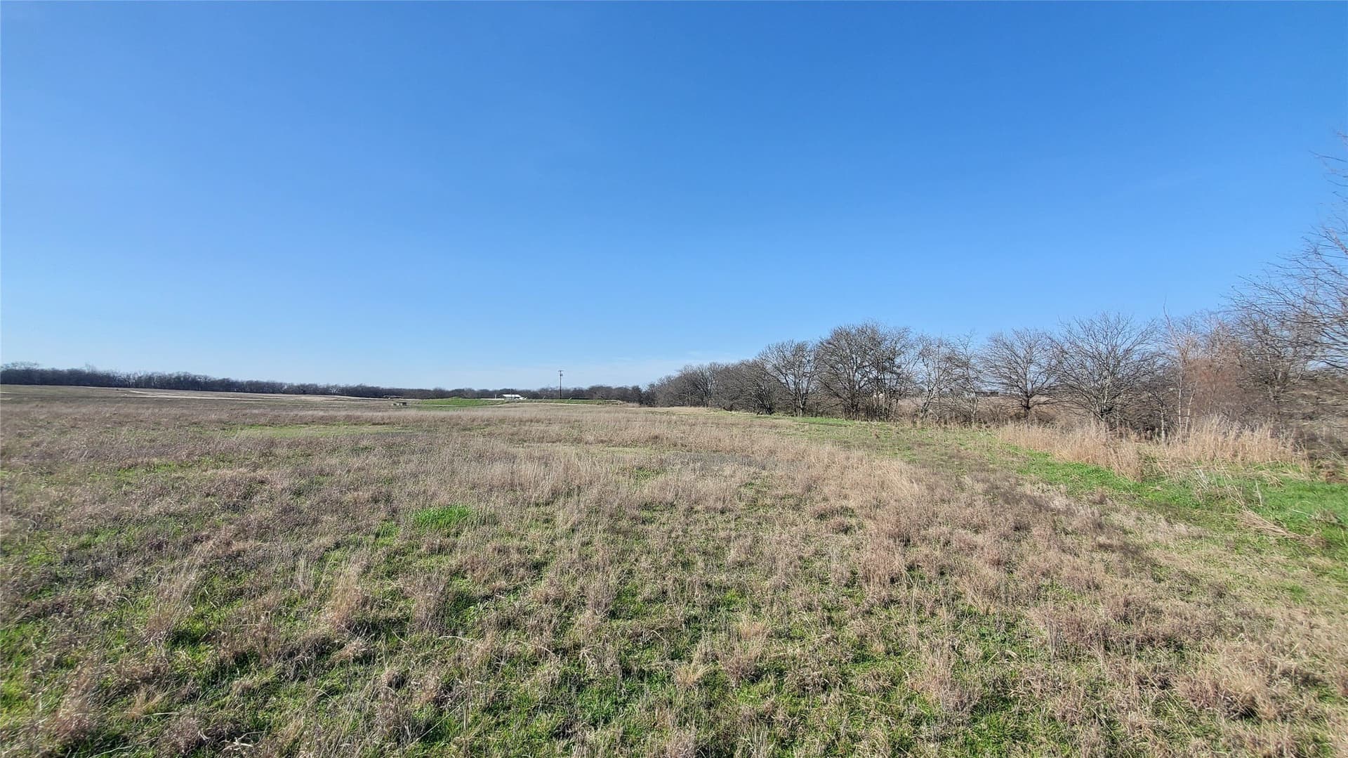 13.97 acres in Navarro County - photo 10