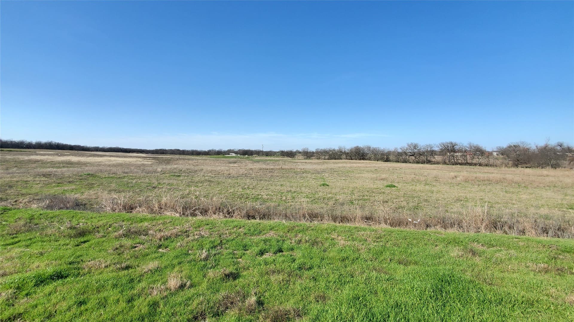 13.97 acres in Navarro County - photo 6
