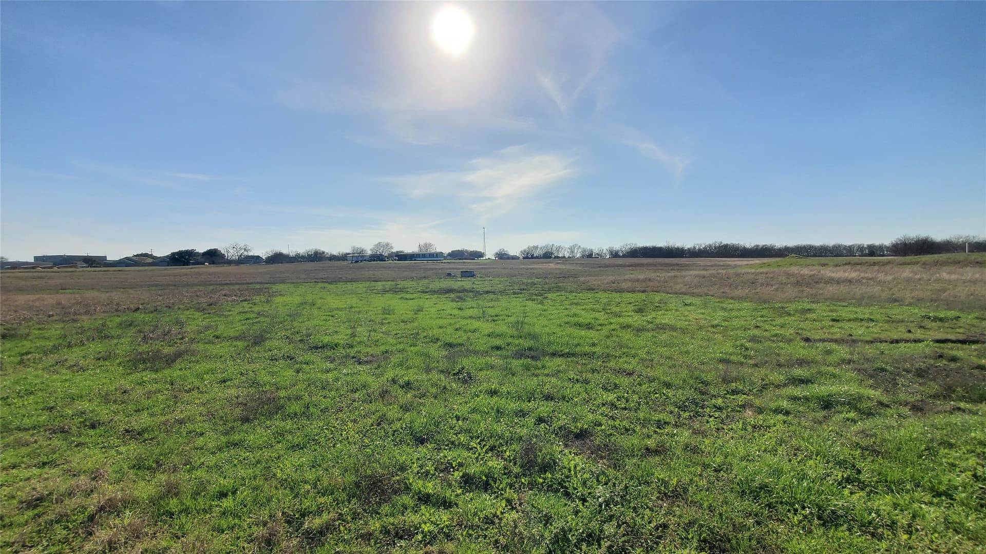 13.97 acres in Navarro County - photo 13