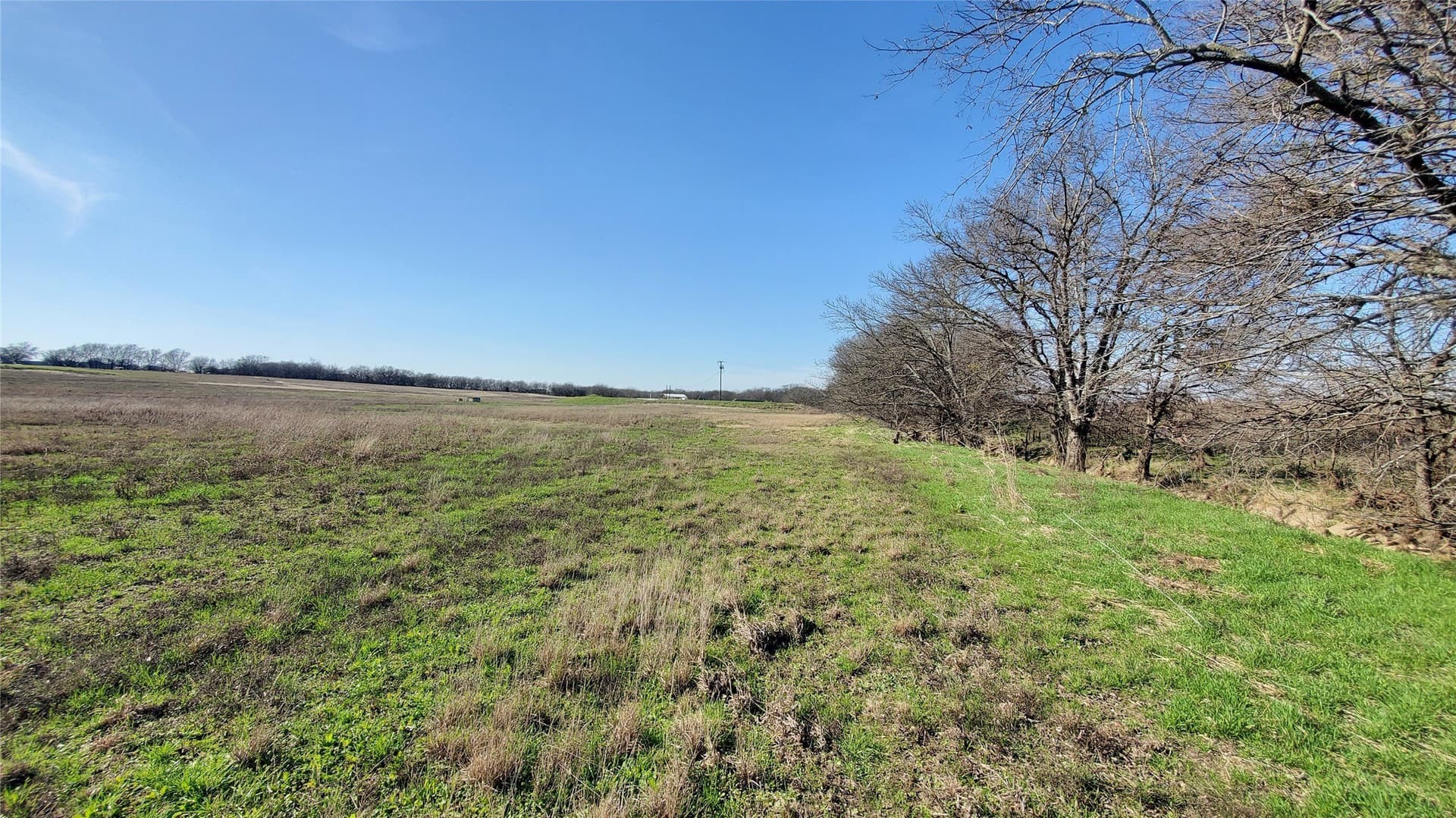 13.97 acres in Navarro County - photo 11
