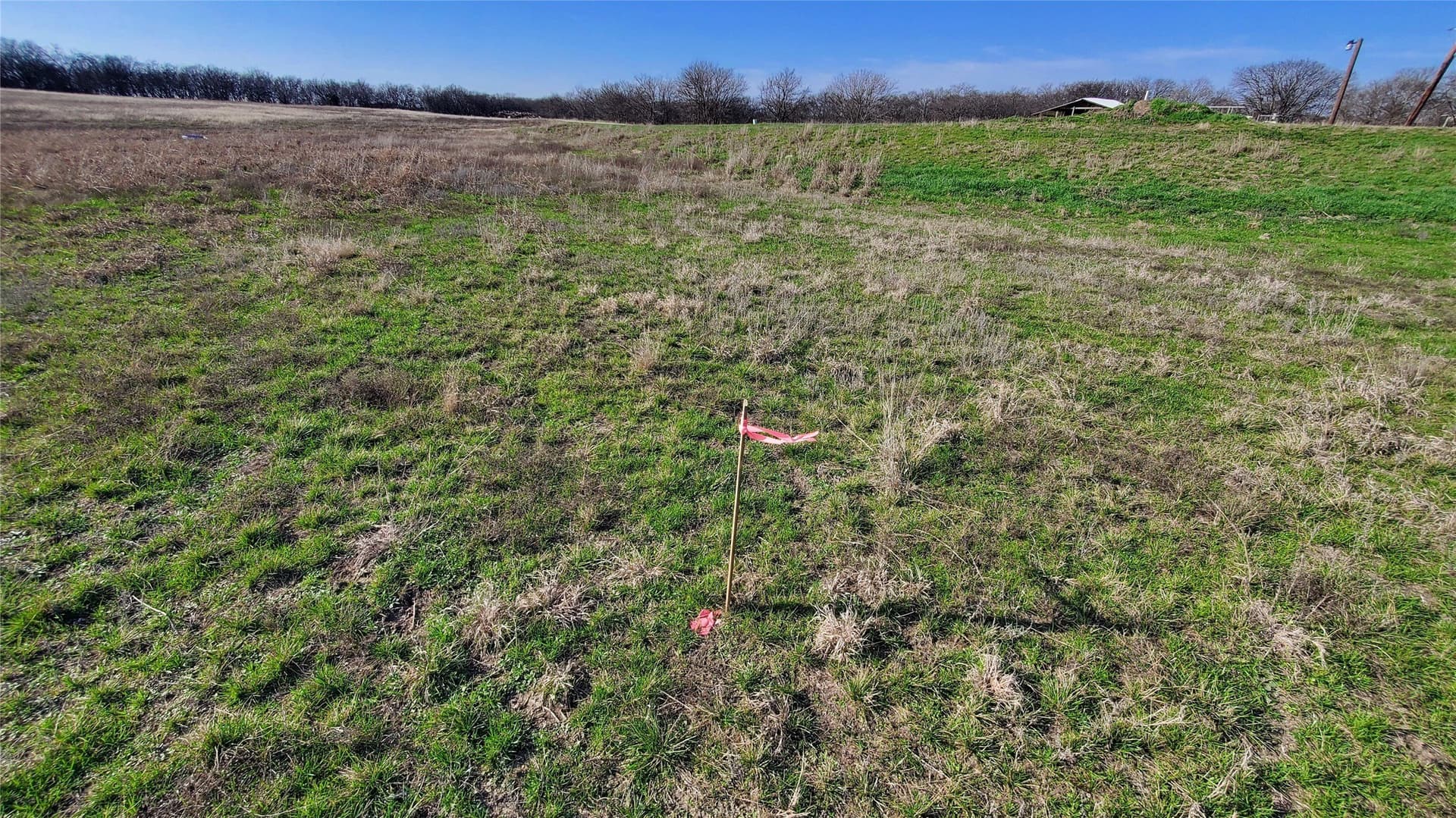 13.97 acres in Navarro County - photo 17