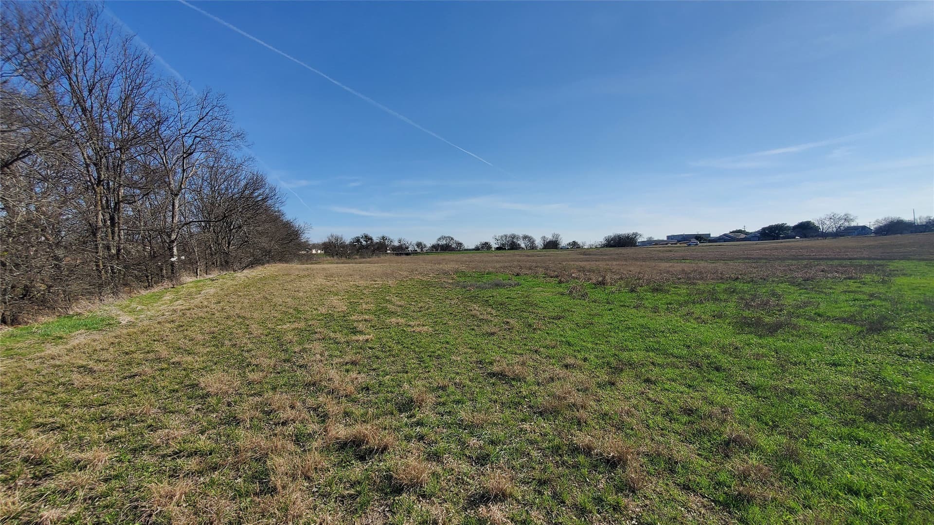 13.97 acres in Navarro County - photo 14