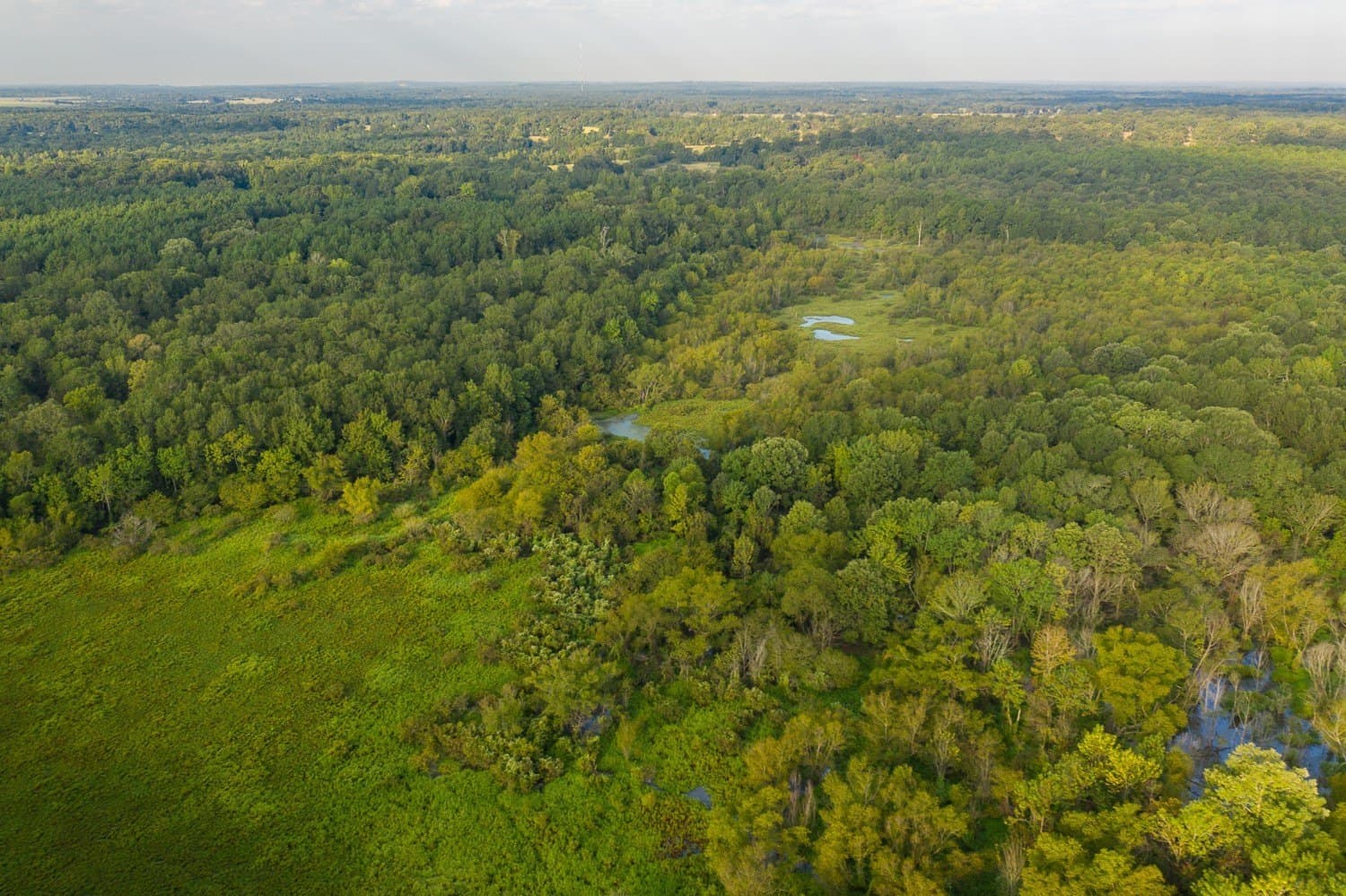 863 acres in Upshur County featured view