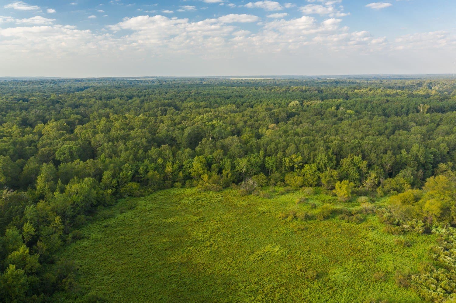 863 acres in Upshur County gallery image 2