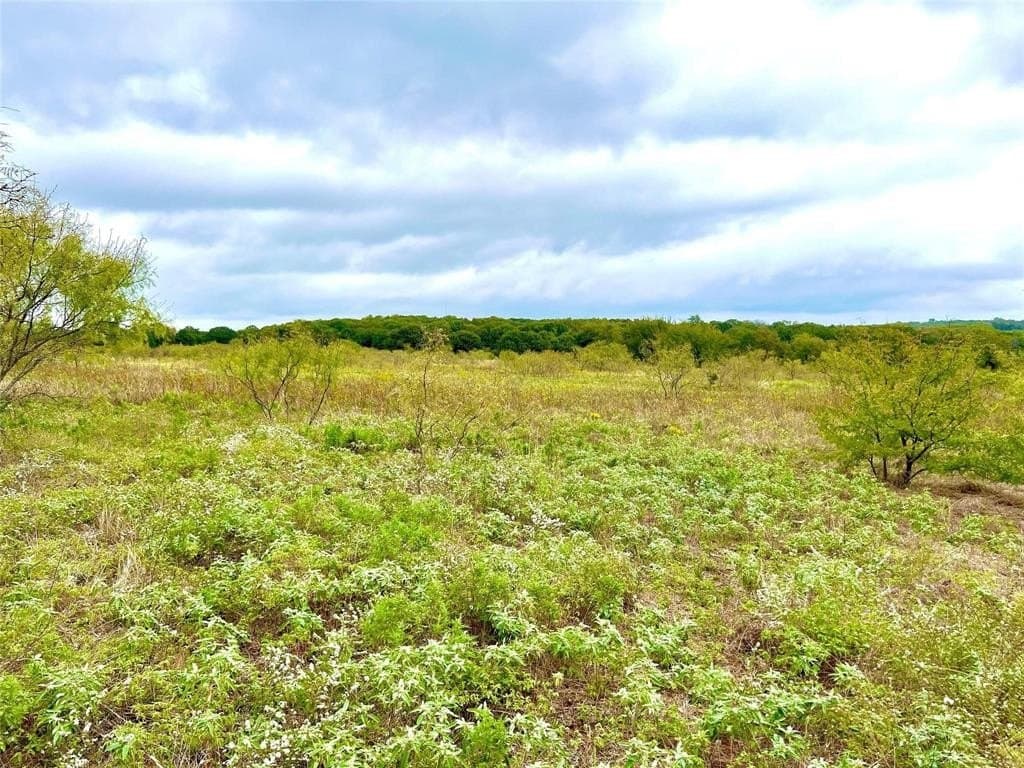 51.82 acres in Cooke County featured view