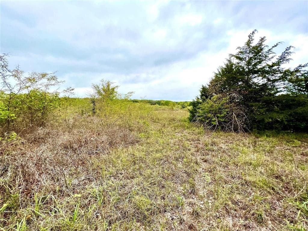 51.82 acres in Cooke County gallery image 3