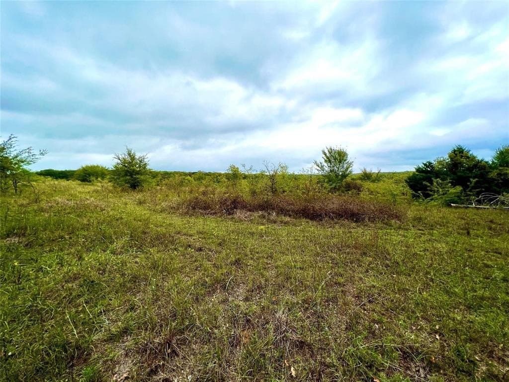 51.82 acres in Cooke County gallery image 4