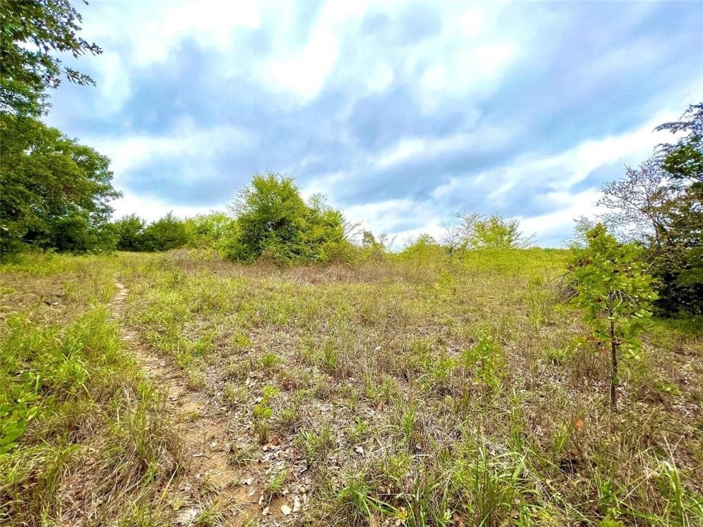 51.82 acres in Cooke County gallery image 2