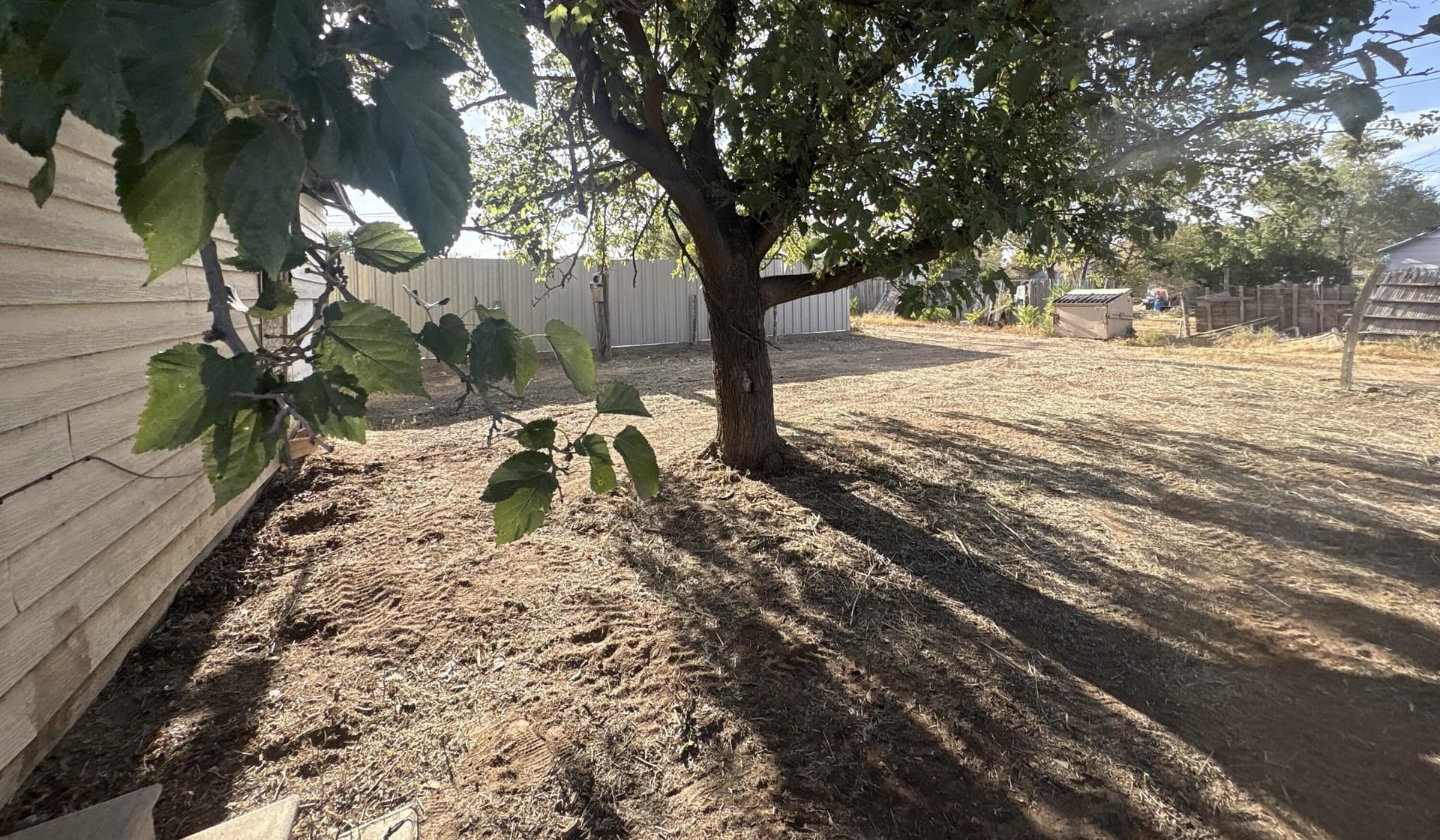 0.15 acres in Hale County - photo 5