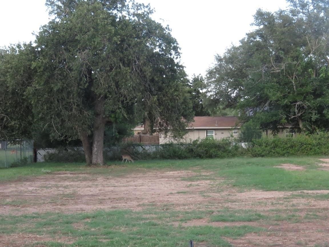 14,278 acres in Llano County gallery image 2
